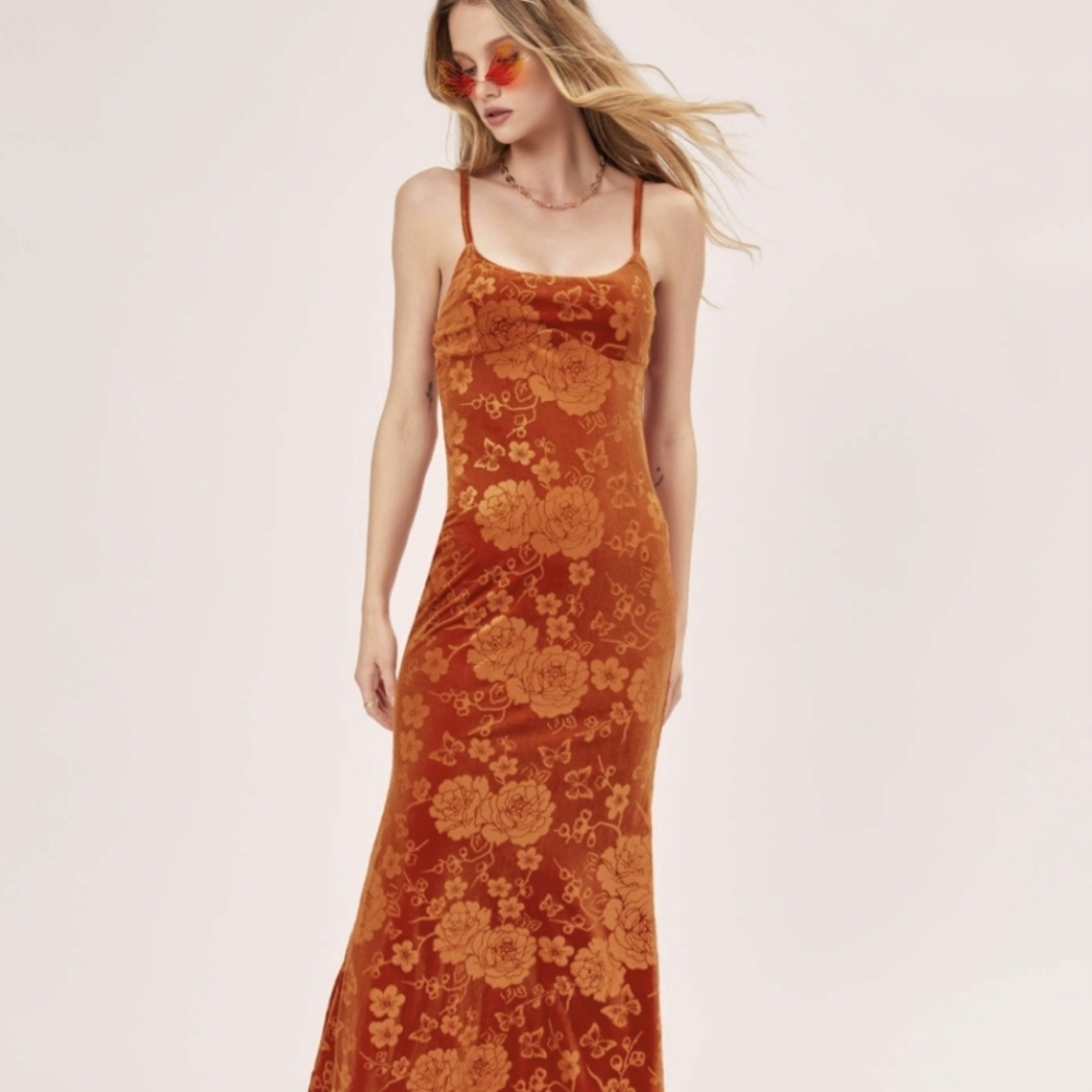 Floral & Butterfly Velvet Maxi Dress